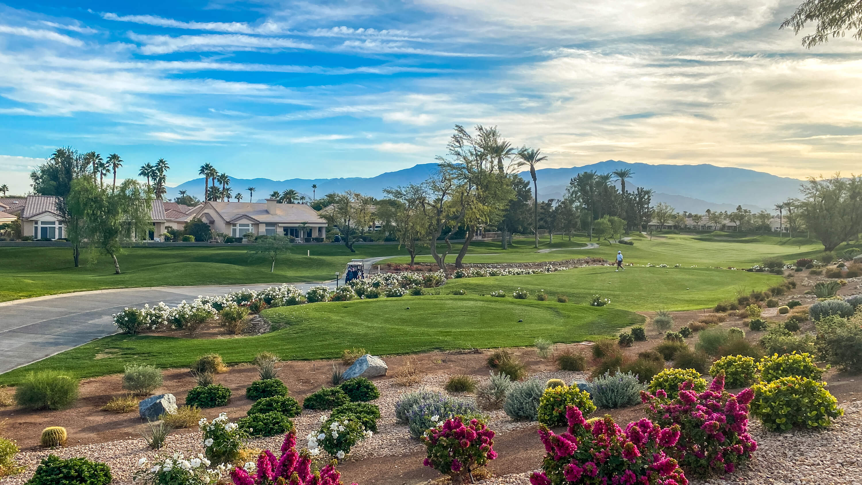 Sun City, Palm Desert Homes For Sale